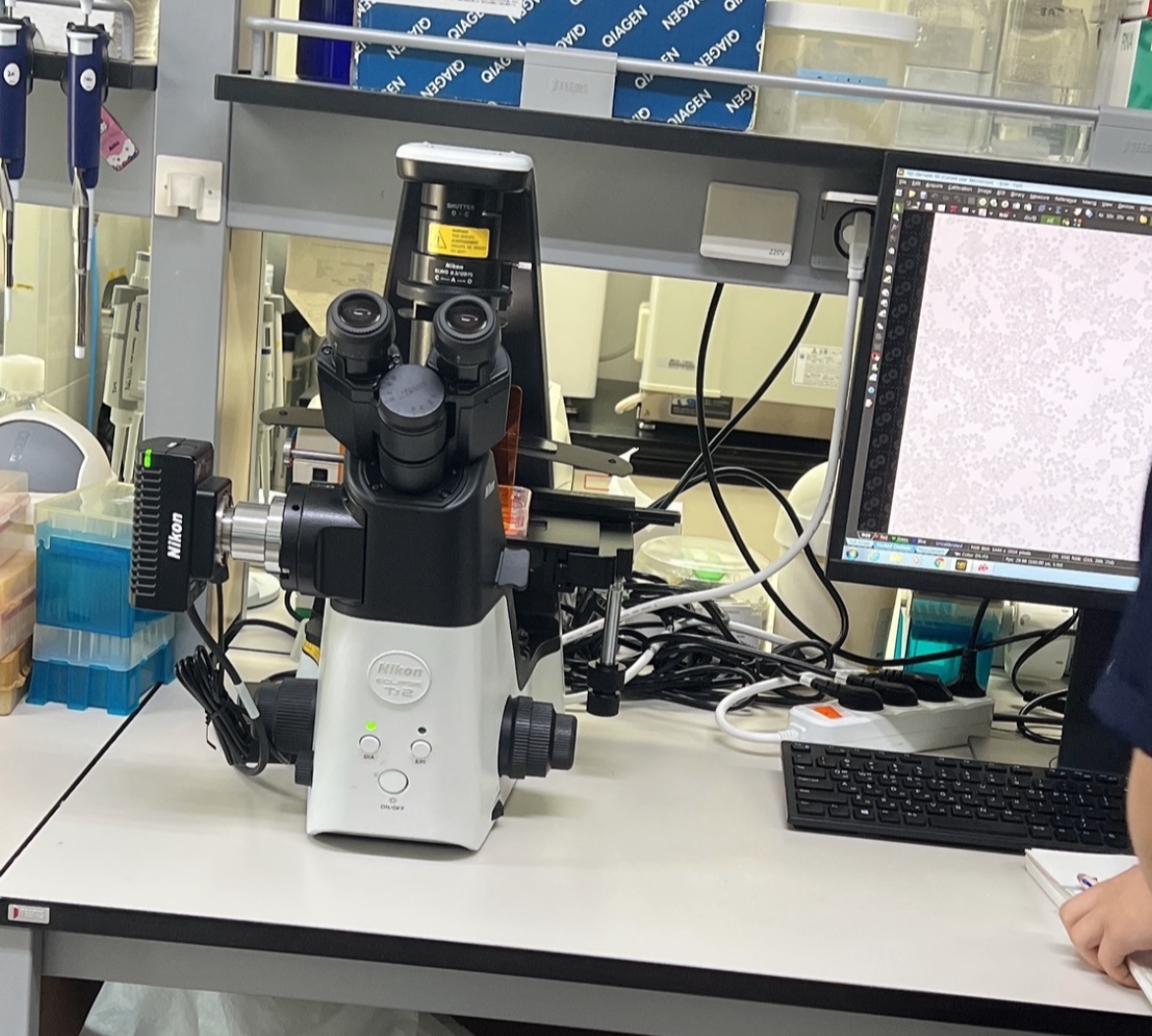 Using Nikon microscope
